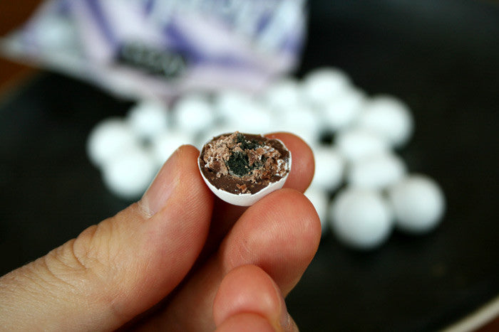 Skankynavia: Icelandic Nammi – Umami Mart