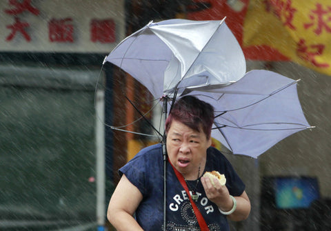 The Umami Reader: Pork Bun vs. Typhoon. Pork Bun ALWAYS WINS