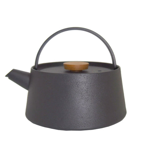 Makoto Koizumi Tetu Cast Iron Kettle