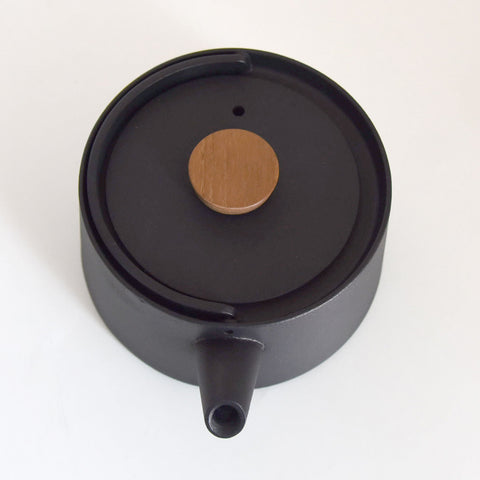 Makoto Koizumi Tetu Cast Iron Kettle