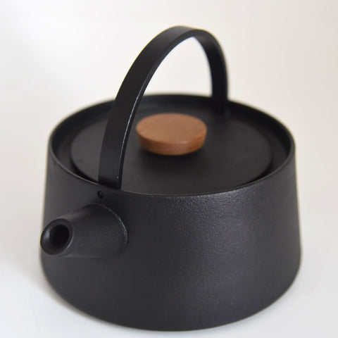 Makoto Koizumi Tetu Cast Iron Kettle