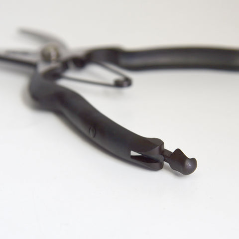 Pruning Shears