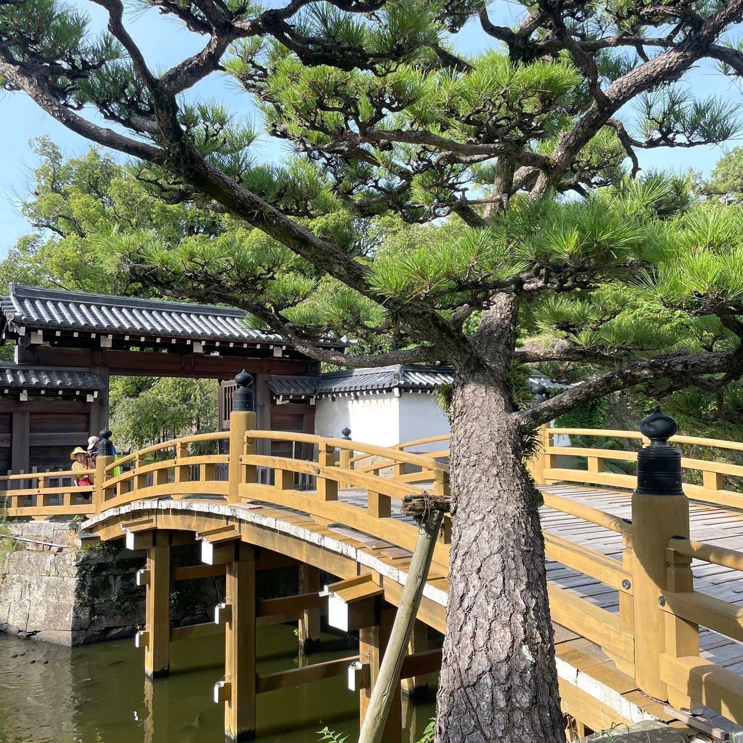Shochu Gumi n.023: The Old + New (June 2025) – Umami Mart