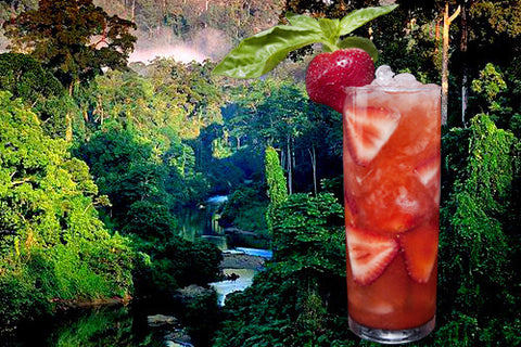 VOTE FOR PAYSTYLE'S COCKTAIL!