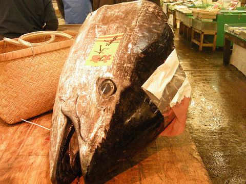 Tuna Head at Tsukiji Fish Market