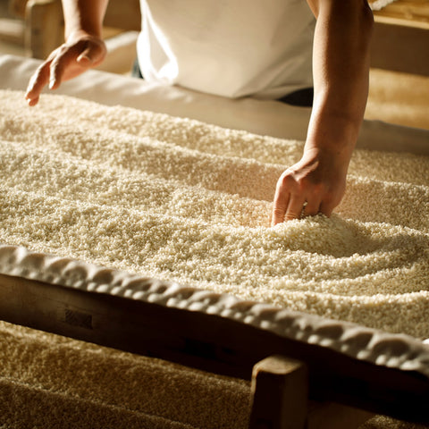 Celebrating Ishikawa’s Sake Community (March 2026)