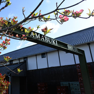 Interview with Wataru Hosokawa Director of Overseas Business Development at Amabuki Shuzo