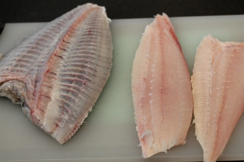 MOTOism: Let's Fillet a Fluke