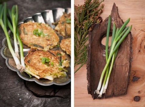 The Forest Feast: Matzo Brei Scallion Pancakes