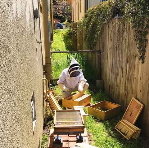 Getting to Know Beekeeper Yoko