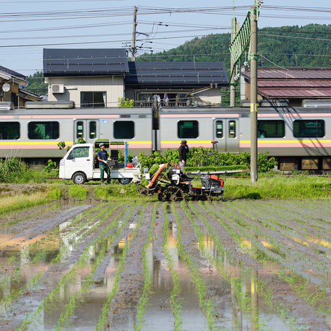 Meet the Maker: Yuto Abe of Abe Sake Brewery