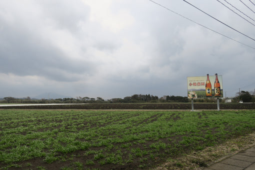 Get Kagoshima 鹿児島ゲット