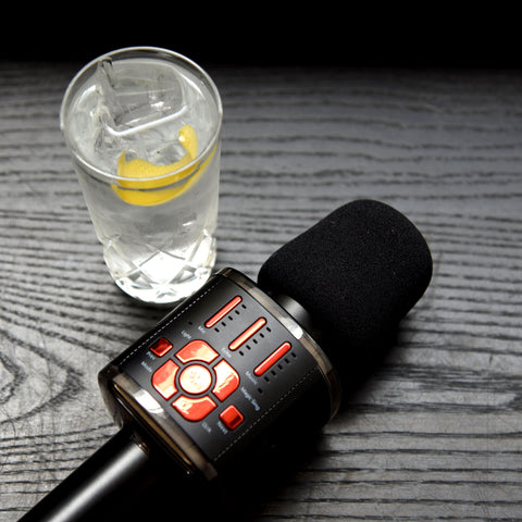 Karaoke Fiesta