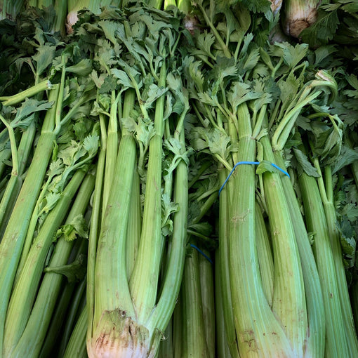 Celery Bitters