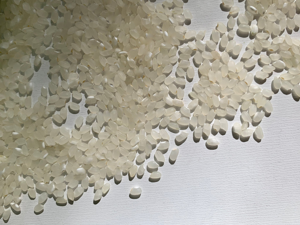 Luna Koshihikari Organic Rice - 5lbs – Umami Mart