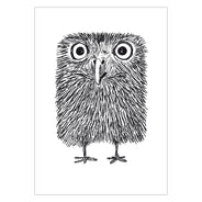 Baby Owl Greeting Card 6-Pack