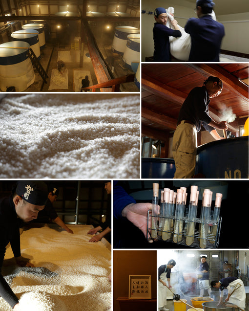 Meet the Brewer: Blending Vintages w. Matsuse Sake Brewery