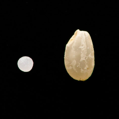 At the Bar: Komyo 1% "Zenith" Junmai Daiginjo