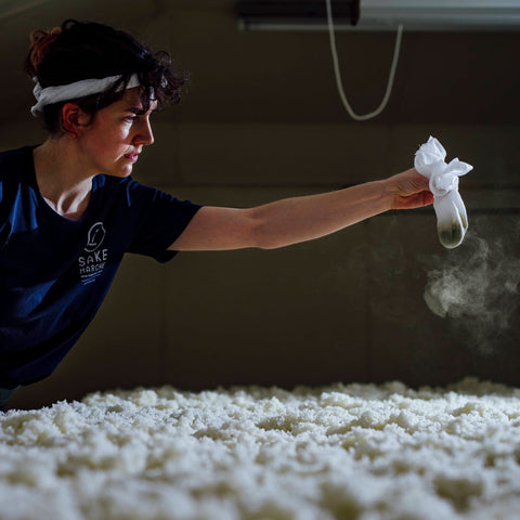 Water, Wood & Wild Things: Making Umeboshi w. Hannah Kirshner